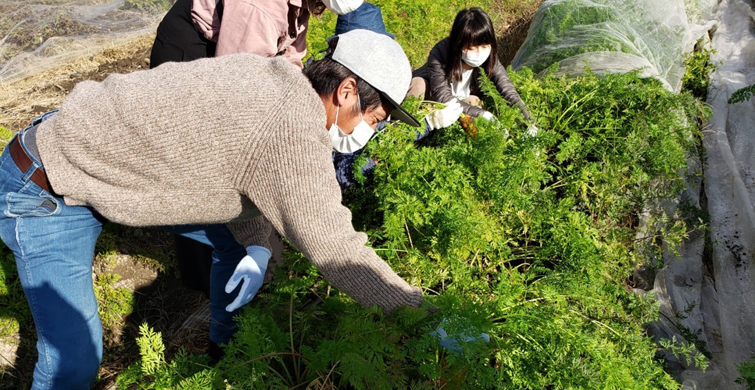 【ヒトコト博】ジョニーの卵でジョルジュのウフマヨ作り体験（11月21日） イメージ3